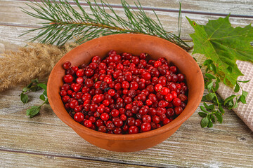 Natural organic wild forwst lingonberry