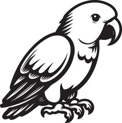 beautiful simple parrot vector 