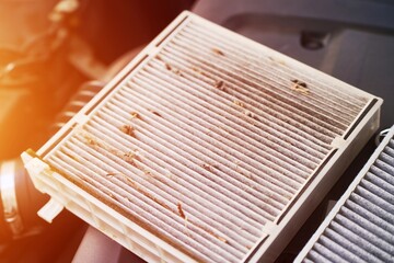 Dusty cabin air filter removed from car
