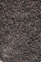 Macro dried black tea leaves