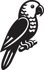 beautiful simple parrot vector  © Sarmad