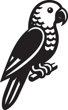 beautiful simple parrot vector 