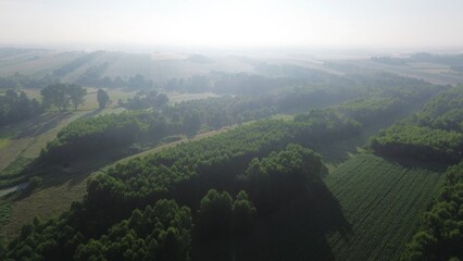 Fototapeta premium Fog-covered landscape with fields and trees from above