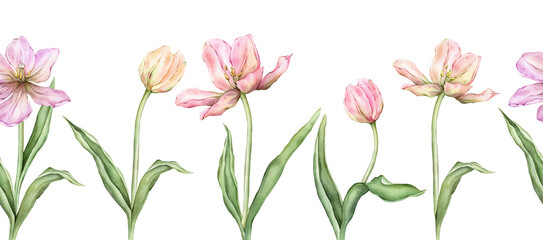 Seamless banner of Pastel pink light violet yellow bud Tulips watercolor illustration isolated on background. Hand drawn delicate spring perennial bulbous flower for spring wedding design or border