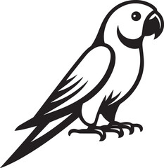 beautiful simple parrot vector 