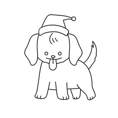 A dog with a hat on its head