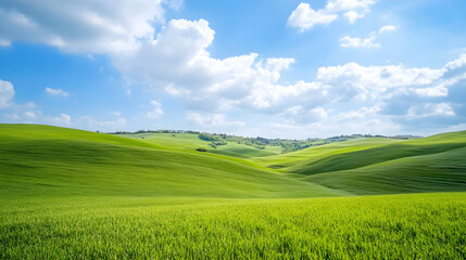 Fototapeta premium Lush green hills and meadows under bright blue sky create serene landscape