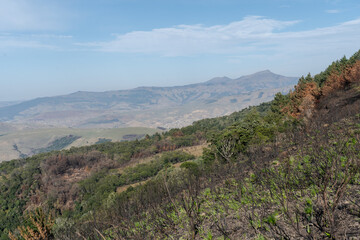 Naklejka premium View of a Hogsback mountain in the Amathole mountain, Eastern cape