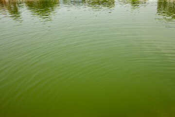 Ritual, pool and holy with water for sacred, spiritual cleansing and mythology for tradition belief. India, harmony and green liquid by above for culture, religion and river for purification outdoor