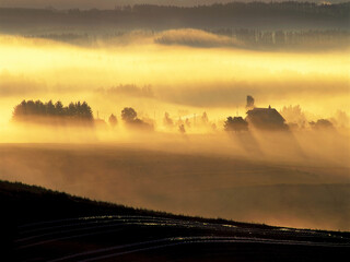 朝霧漂う丘（美瑛町）