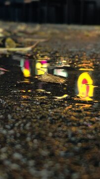 Autumn leaf resting Neon lights reflected in a puddle