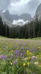 Fototapeta premium Wildflowers in the Mountains.
