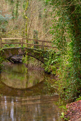 quiet stream with a bridge. Green trees in the background
