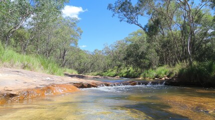 Obraz premium Serene River Scene in a Lush Forest Environment