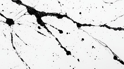 Obraz premium Abstract Black Ink Splatter on White Background Texture Design
