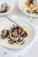 Fennelsoup with Pernod & vongole
