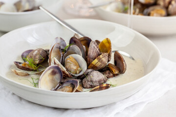 Fennelsoup with Pernod & vongole