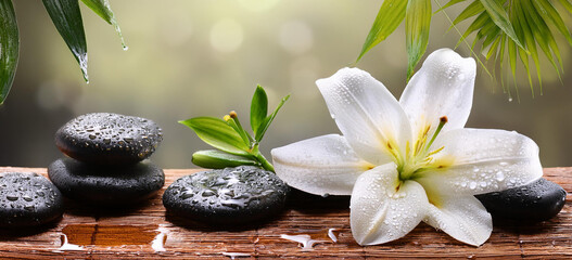  Spa,  frangipani, agua, relax, Zen,  