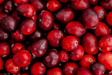 Cranberry-clementine gin tonic