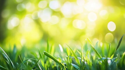 Vibrant green spring background ideal for Easter themes featuring a bright panorama and soft bokeh effect with fresh sunlight