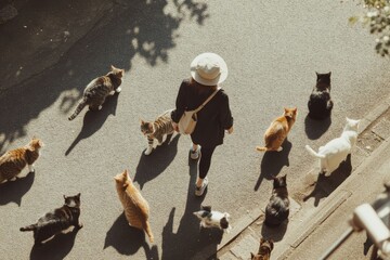 Obraz premium Several cats islands can be found at Fukushima, including Ainoshima island