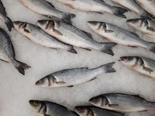 Fresh fish in the store top view
