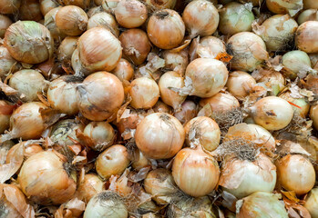 Onions in the store top view