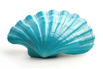 A single blue shell placed on a white surface