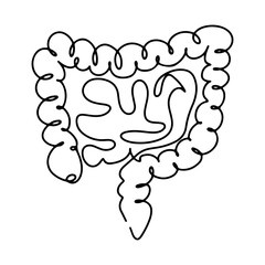 Anatomy Human Line Art Vector Design Decorative