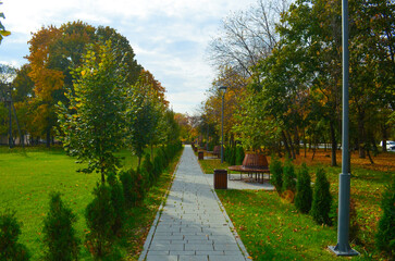 A park with a path and benches. The path is lined with trees and the benches are placed along the path. The park is filled with autumn leaves, giving it a cozy and peaceful atmosphere.