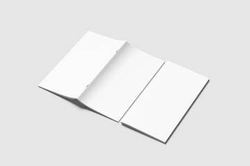DL BROCHURE BLANK BACKGROUND