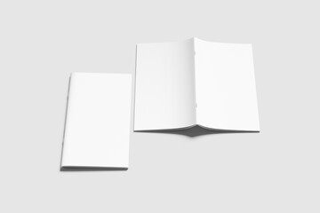 DL BROCHURE BLANK BACKGROUND