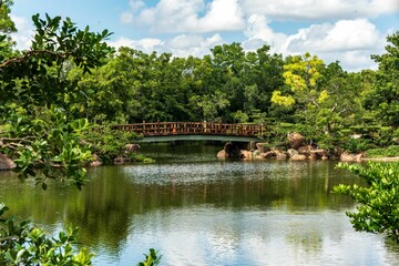 Serene Park Scene with Wooden Bridge and Pond