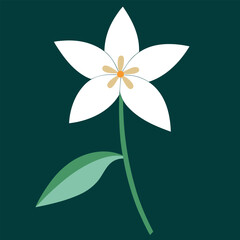 a Jasmine flower. Include intricate details like delicate petals, slender stems, and fragrant blooms