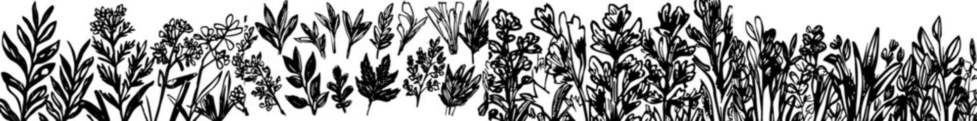 Naklejka premium Sketch with herbs and plants. Seamless pattern.