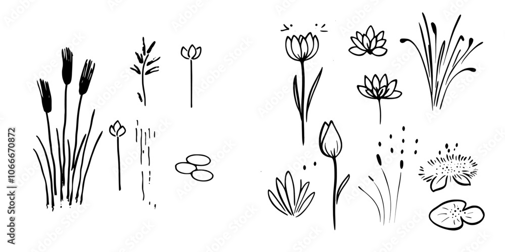 Aufkleber linear icon with cattails and lilies in a swamp. editable stroke