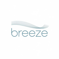 wave logo name breeze