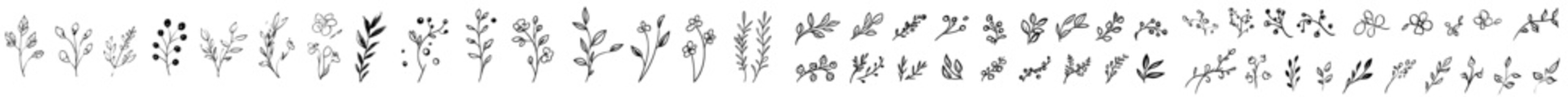 Obraz premium Hand drawn flower doodle. Spring floral plant, graphic leaf, grunge brush texture. Simple brush stroke with a modern flower, leaf.
