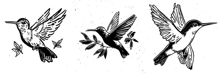 Fototapeta premium Hummingbird hatchling modern illustration
