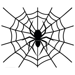 Obraz premium a spider sitting on a web, focusing on intricate web patterns