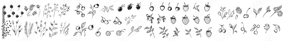 Aufkleber set of berries color ink sketch illustration isolated on white background. branch raspberry strawber