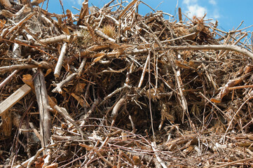 mountain of tree branches and roots against blue sky