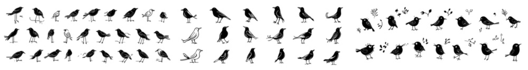 Fototapeta premium A set of black crow silhouettes isolated on a black background. Crows, ravens, dark birds icon clipart.