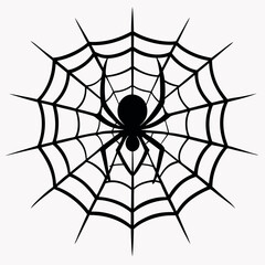 Fototapeta premium a spider sitting on a web, focusing on intricate web patterns