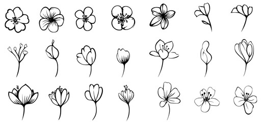 An outline sakura flower blossom set. Hand drawn doodle sakura flowers line icons collection. Realistic flowers for Japanese or Chinese designs.