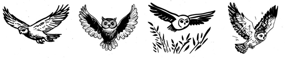 Fototapeta premium Black and white silhouette of a flying owl on a white background