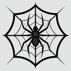 Obraz premium a spider sitting on a web, focusing on intricate web patterns