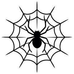 a spider sitting on a web, focusing on intricate web patterns