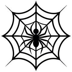 Obraz premium a spider sitting on a web, focusing on intricate web patterns