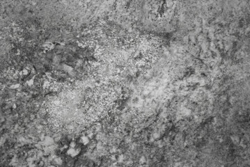 The photo shows a gray stone wall